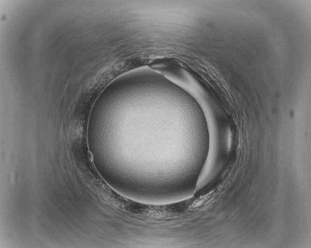 X0000086770697200704131142