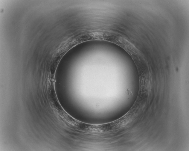 X0000086770702200704131142