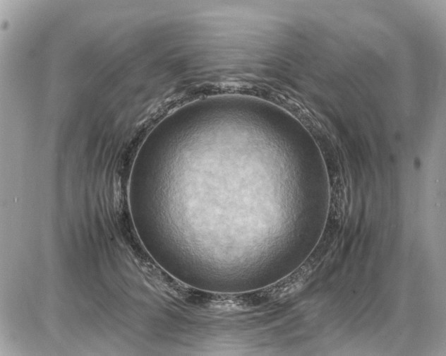 X0000086770704200704131142