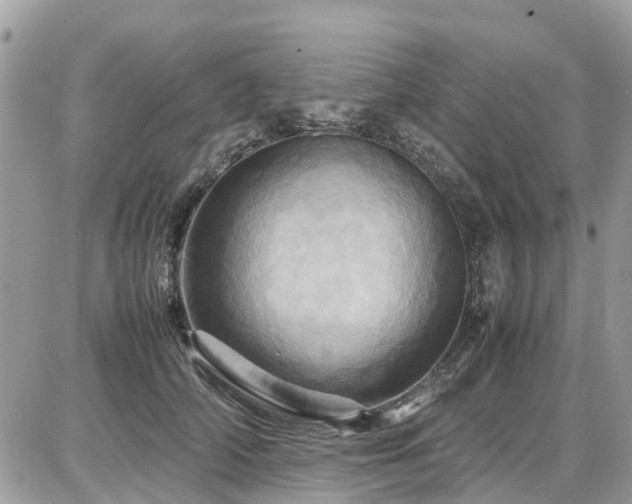 X0000086770706200704131142
