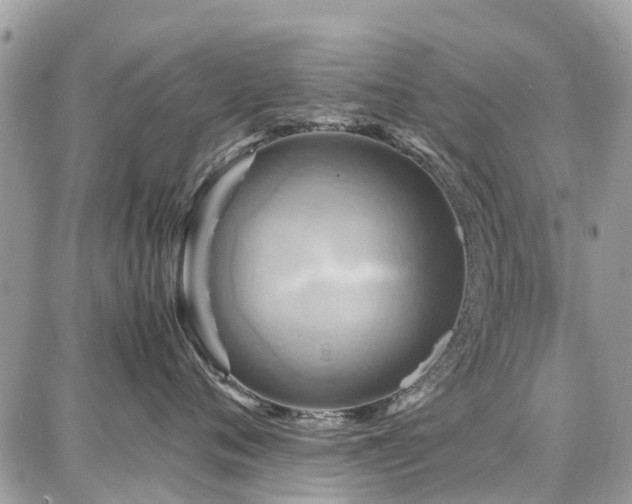 X0000086770720200704131141