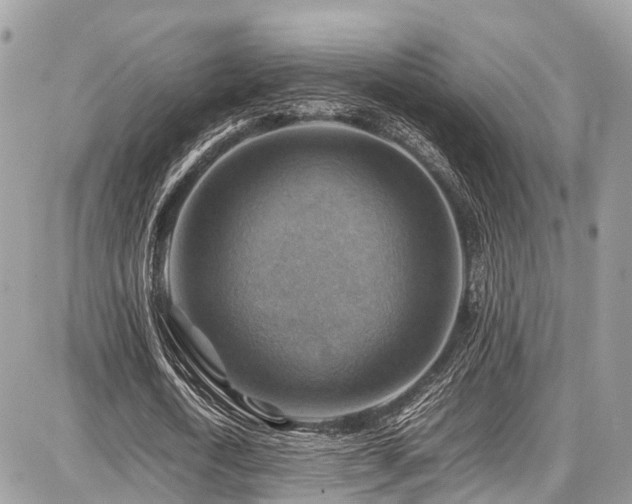 X0000086770722200704131141