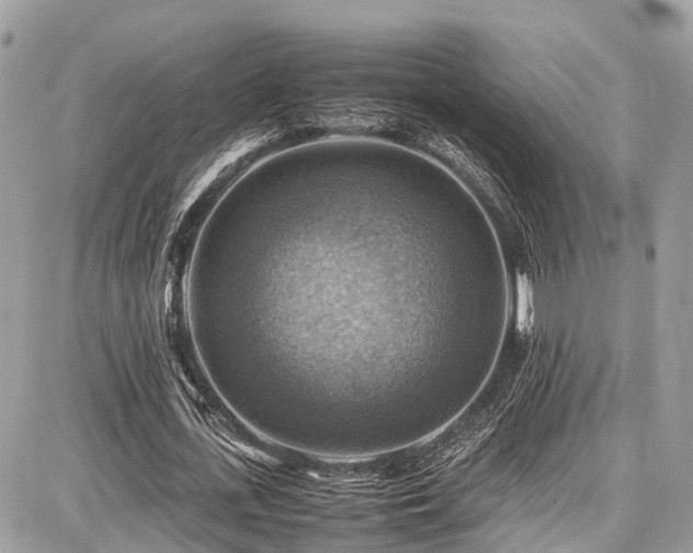 X0000086770723200704131141