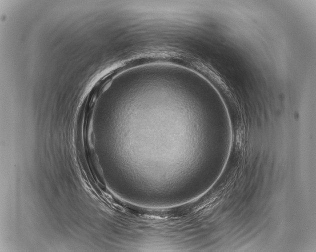 X0000086770724200704131141