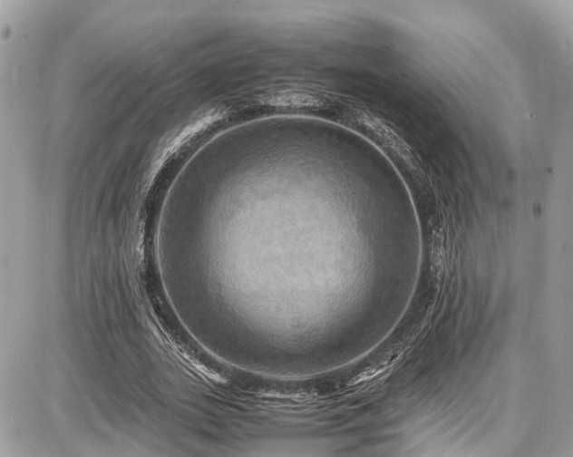 X0000086770727200704131141