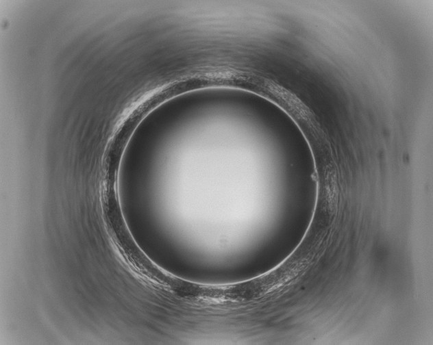 X0000086770728200704131141
