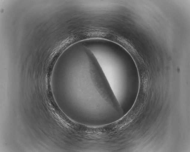X0000086770729200704131141