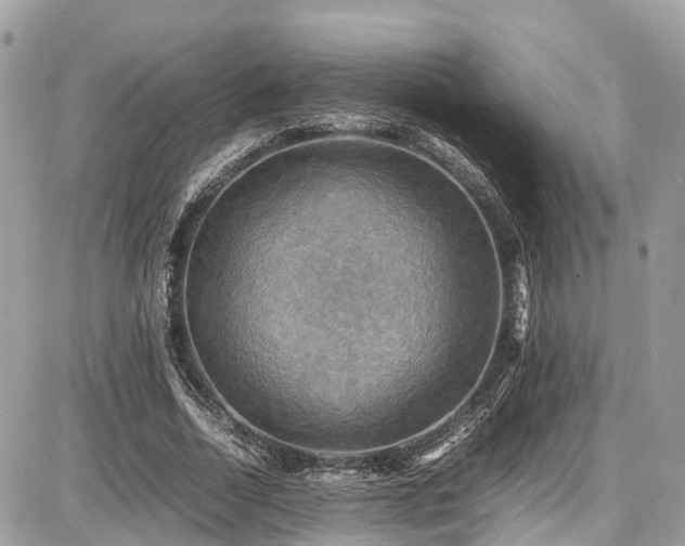X0000086770730200704131141