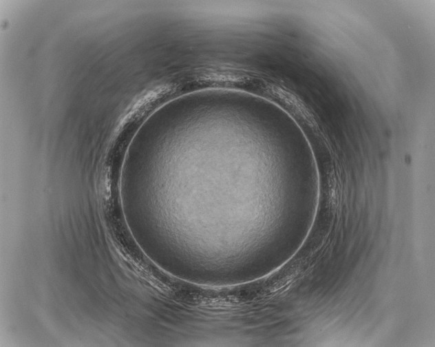X0000086770731200704131141