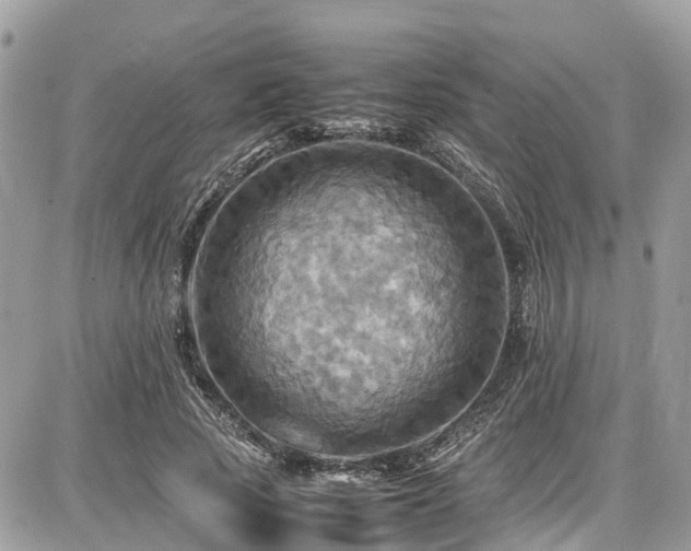 X0000086770737200704131141