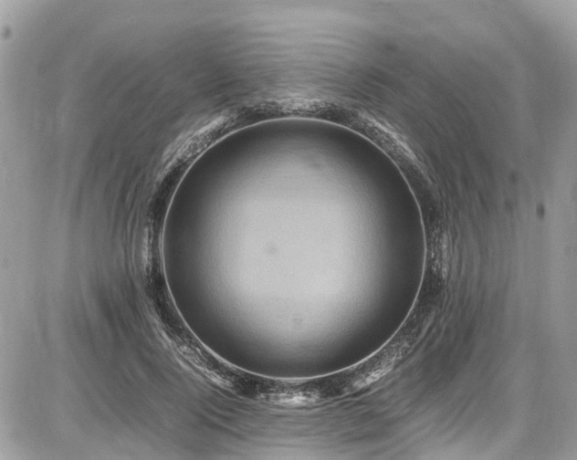 X0000086770740200704131141