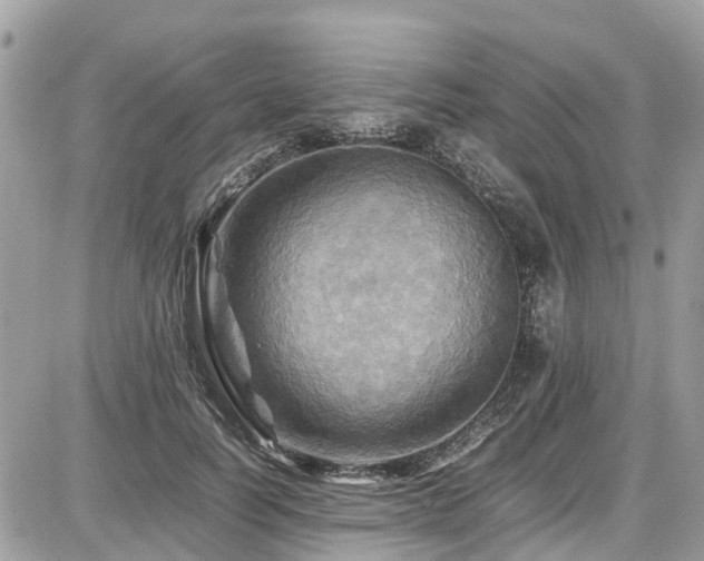 X0000086770746200704131141