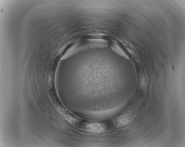 X0000086770759200704131141