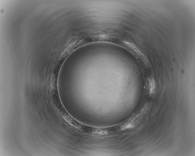 X0000086770760200704131141