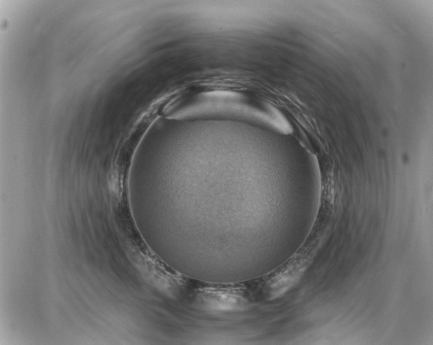 X0000086770763200704131141