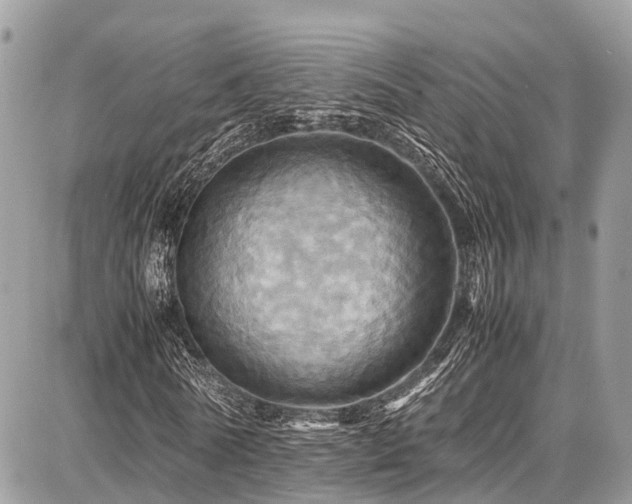 X0000086770770200704131141