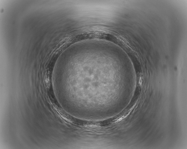 X0000086770771200704131141