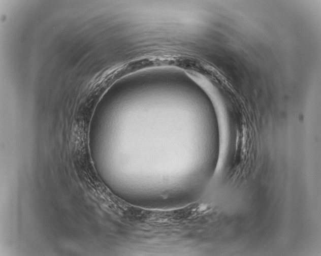 X0000086770773200704131141