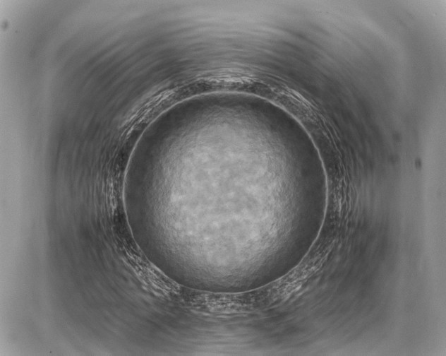 X0000086770774200704131141
