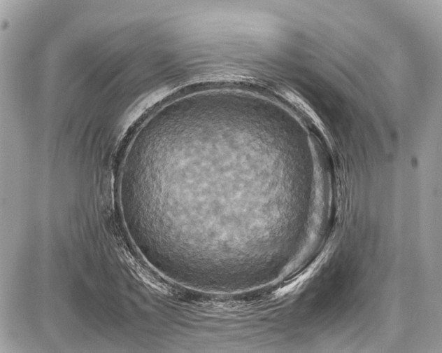 X0000086770781200704131140