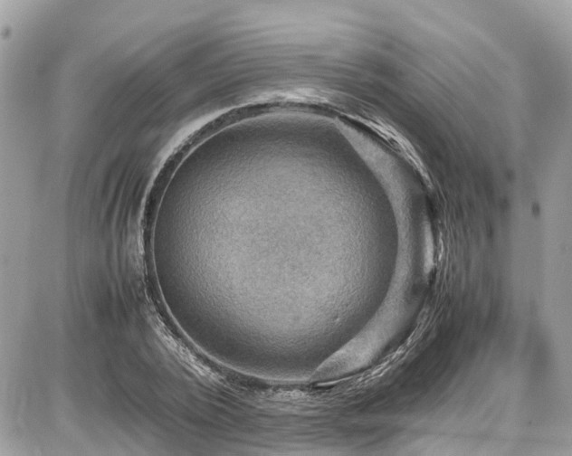 X0000086770784200704131140