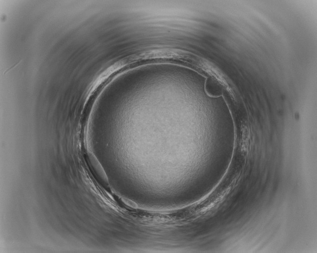 X0000086770786200704131140