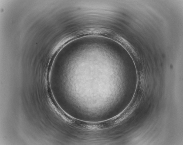 X0000086770794200704131140