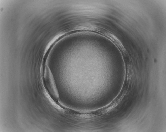 X0000086770796200704131140