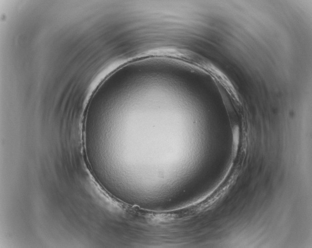X0000086770808200704131140