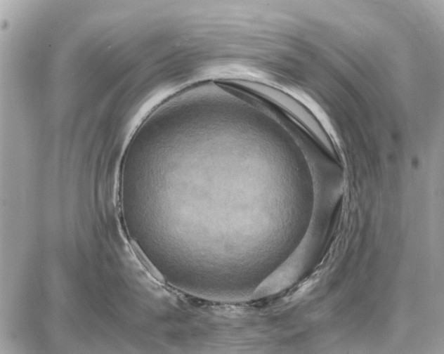 X0000086770815200704131140