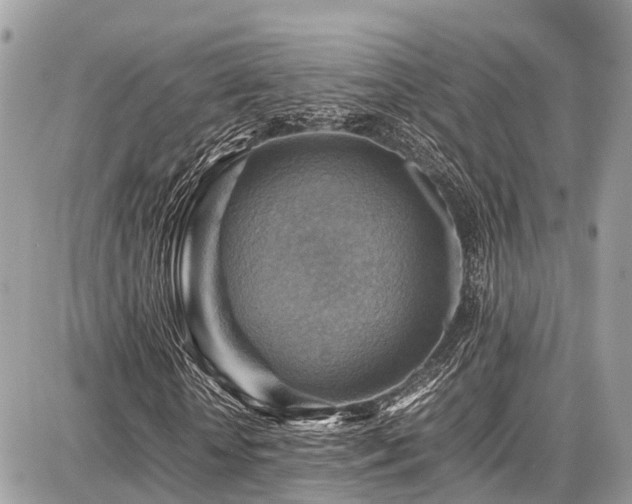 X0000086770818200704131139