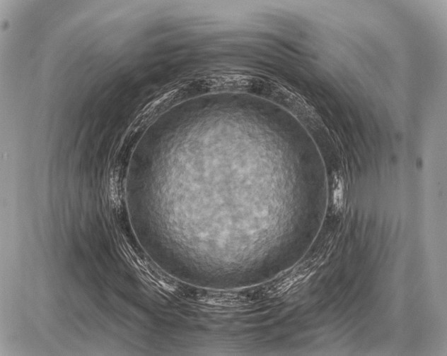 X0000086770819200704131139