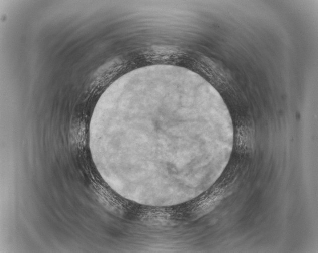 X0000086770820200704131139