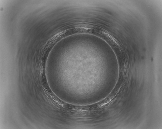 X0000086770821200704131139