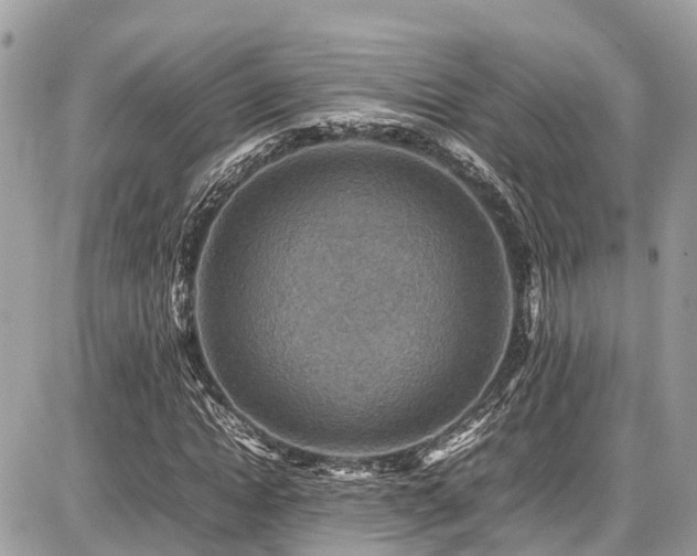 X0000086770822200704131139