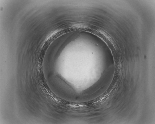 X0000086770823200704131139