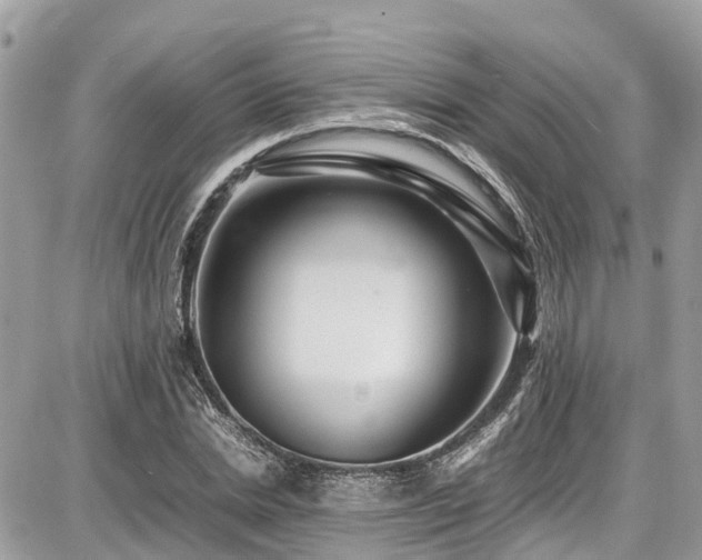 X0000086770830200704131139