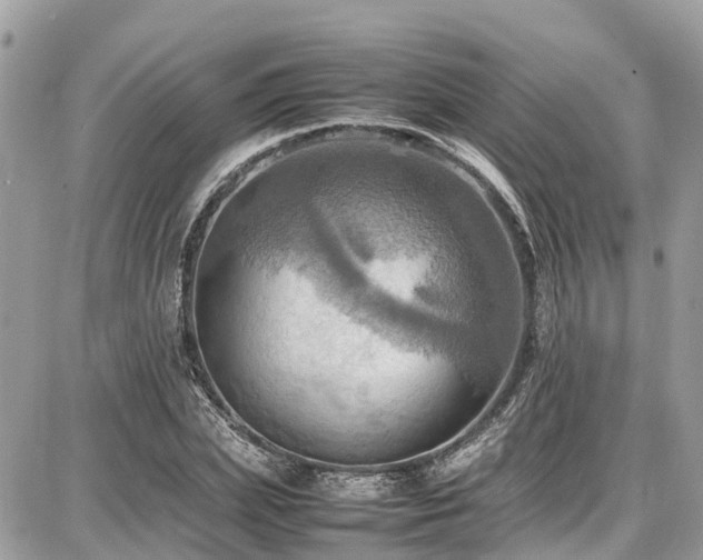 X0000086770831200704131139