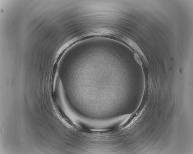 X0000086770842200704131139