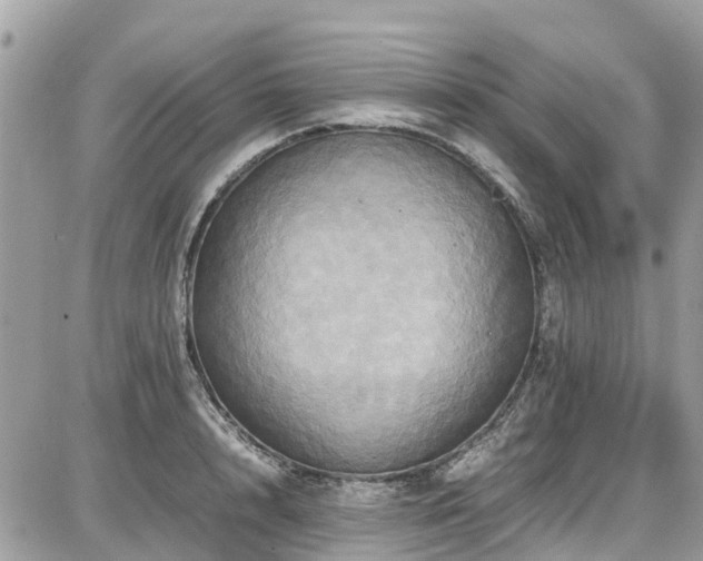 X0000086770848200704131140