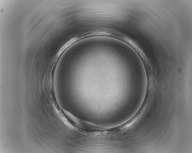 X0000086770858200704131140