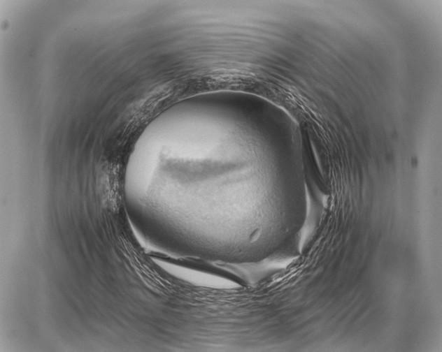 X0000086770868200704131139