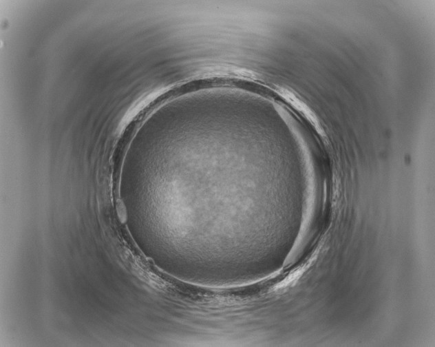 X0000086770877200704131139