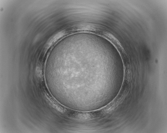 X0000086770882200704131139