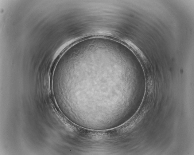 X0000086770886200704131139