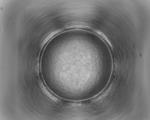 X0000086770890200704131139