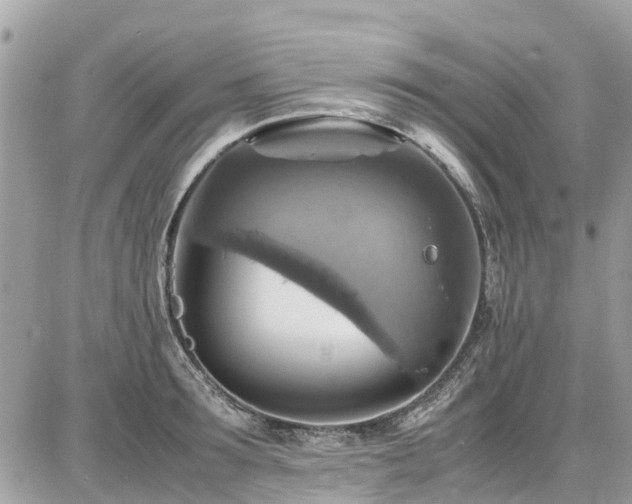 X0000086770899200704131138