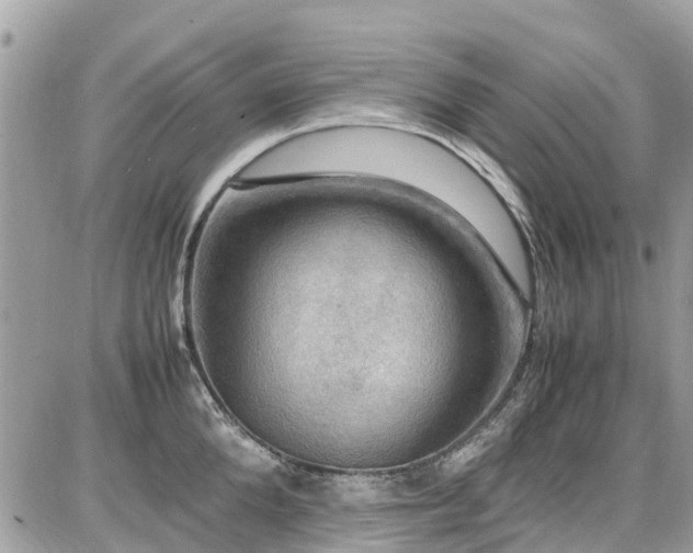 X0000086770904200704131138