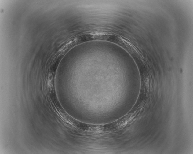 X0000086770914200704131137