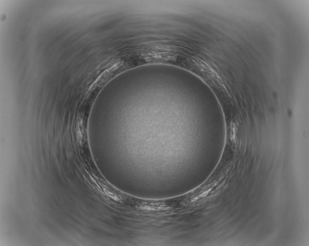 X0000086770915200704131137